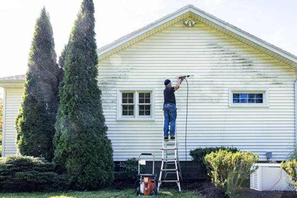 Best Driveway Pressure Washing  in Aldine, TX